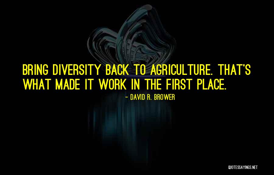 Distincte Dex Quotes By David R. Brower Distincte Dex Quotes By David R. Brower