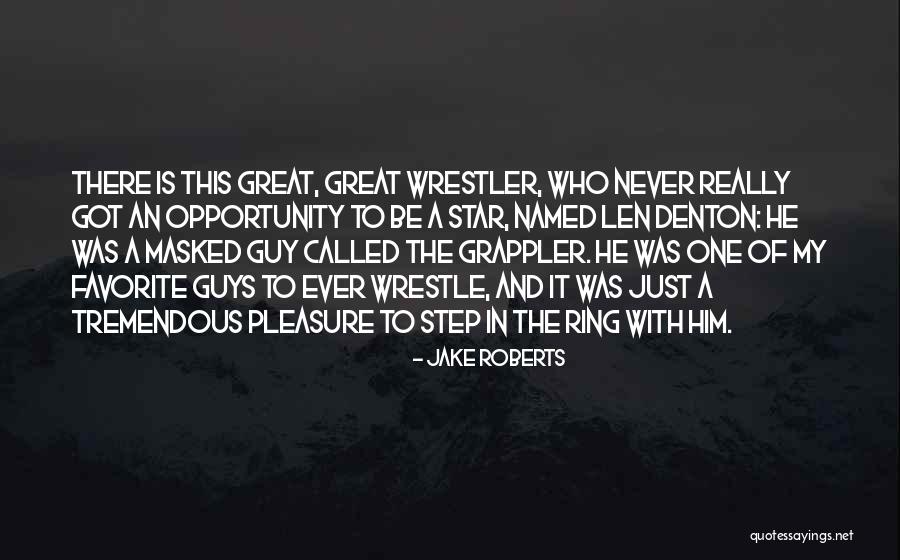 Distinot Quotes By Jake Roberts Distinot Quotes By Jake Roberts