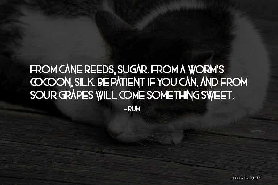 Distorsioned Quotes By Rumi Distorsioned Quotes By Rumi