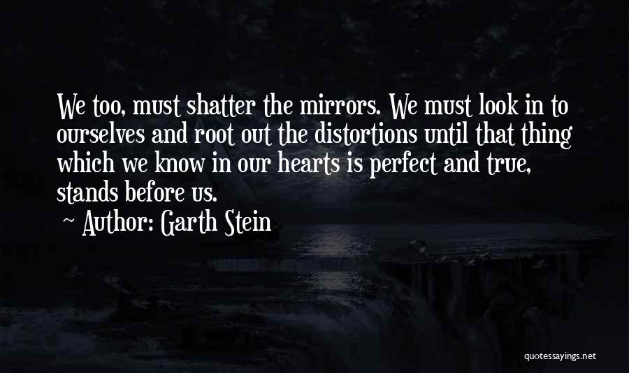 Distortions Quotes By Garth Stein