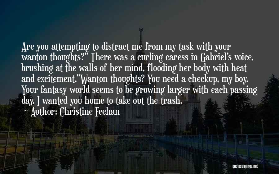 Distract Mind Quotes By Christine Feehan