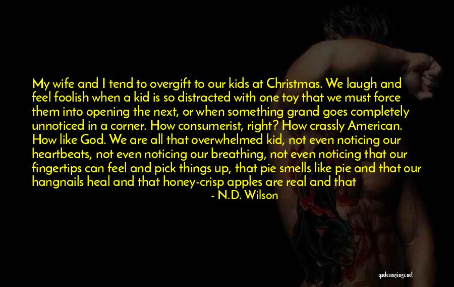 Distracted Love Quotes By N.D. Wilson