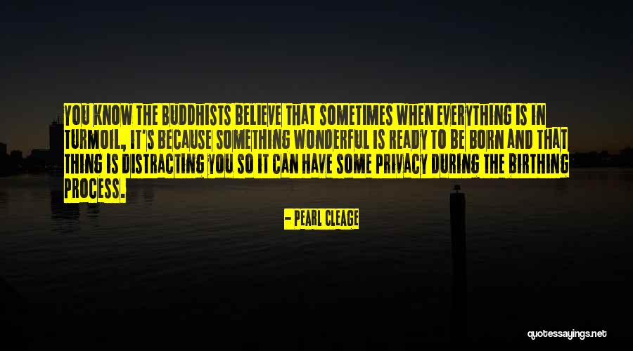 Distracting Yourself Quotes By Pearl Cleage Distracting Yourself Quotes By Pearl Cleage