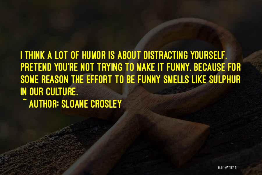 Distracting Yourself Quotes By Sloane Crosley