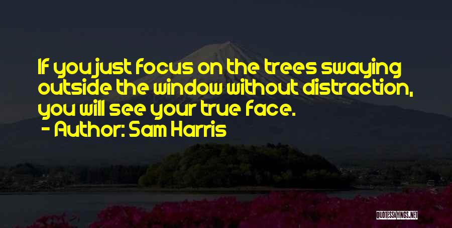 Distraction Quotes By Sam Harris