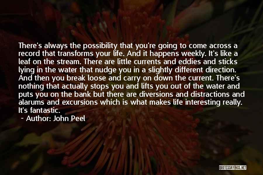 Distractions And Diversions Quotes By John Peel