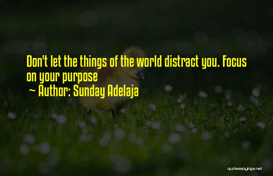 Distractions At Work Quotes By Sunday Adelaja