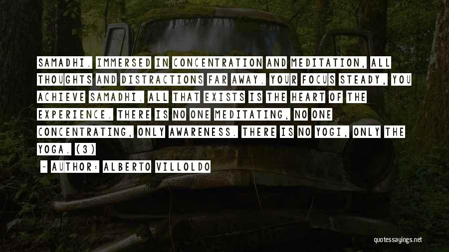 Distractions Quotes By Alberto Villoldo