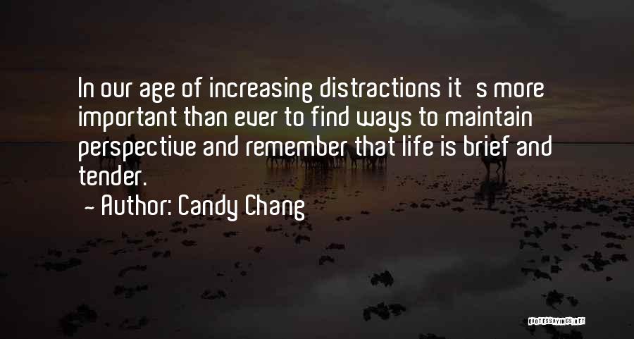 Distractions Quotes By Candy Chang