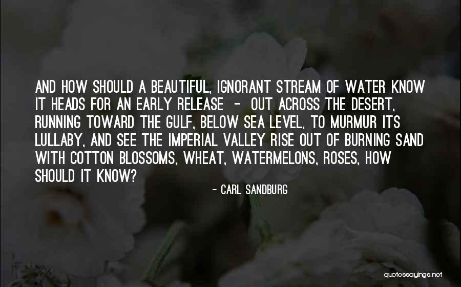 Distrato Unilateral Quotes By Carl Sandburg Distrato Unilateral Quotes By Carl Sandburg