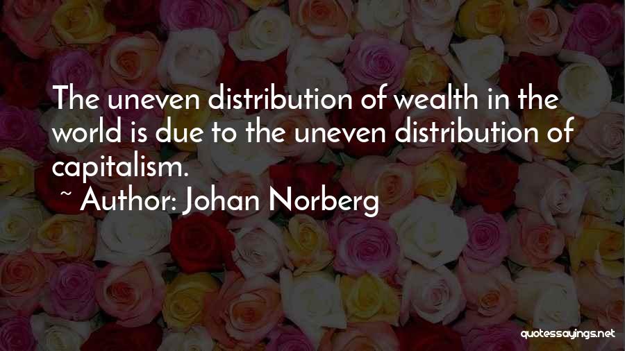 Distribution Of Wealth Quotes By Johan Norberg