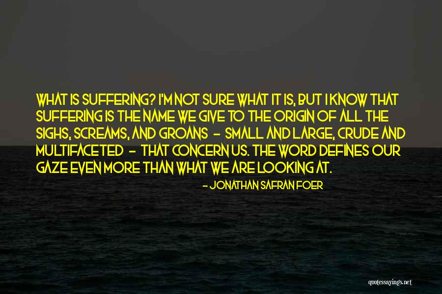 Distributional Analysis Quotes By Jonathan Safran Foer Distributional Analysis Quotes By Jonathan Safran Foer