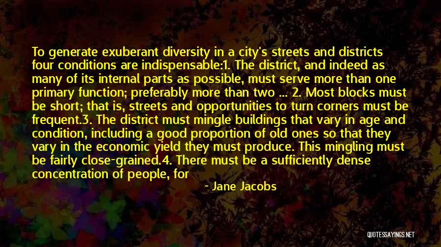 District 1 Quotes By Jane Jacobs