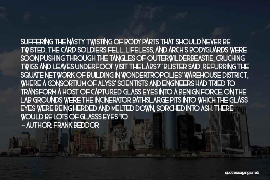 District 9 Quotes By Frank Beddor