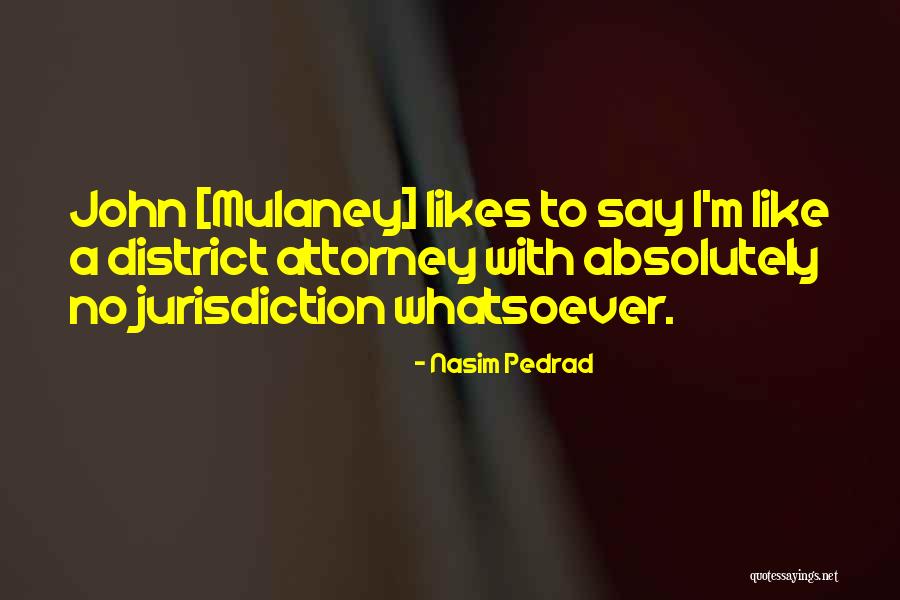 District Attorney Quotes By Nasim Pedrad District Attorney Quotes By Nasim Pedrad