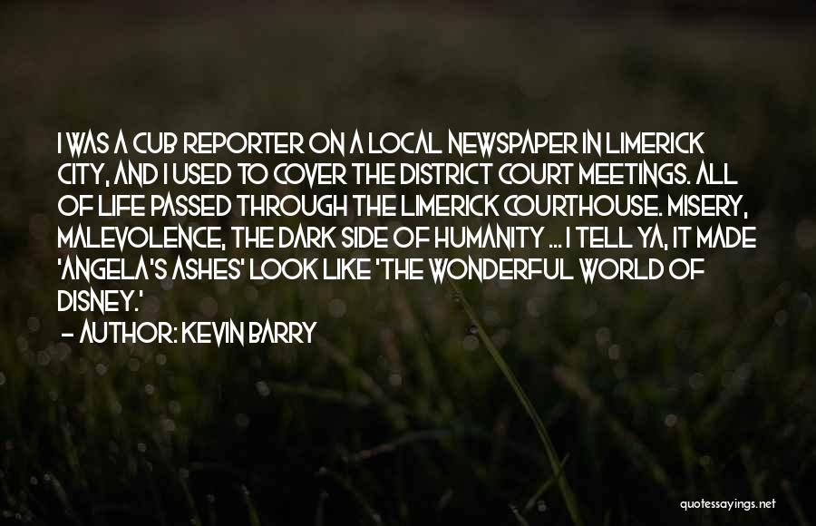 District Quotes By Kevin Barry