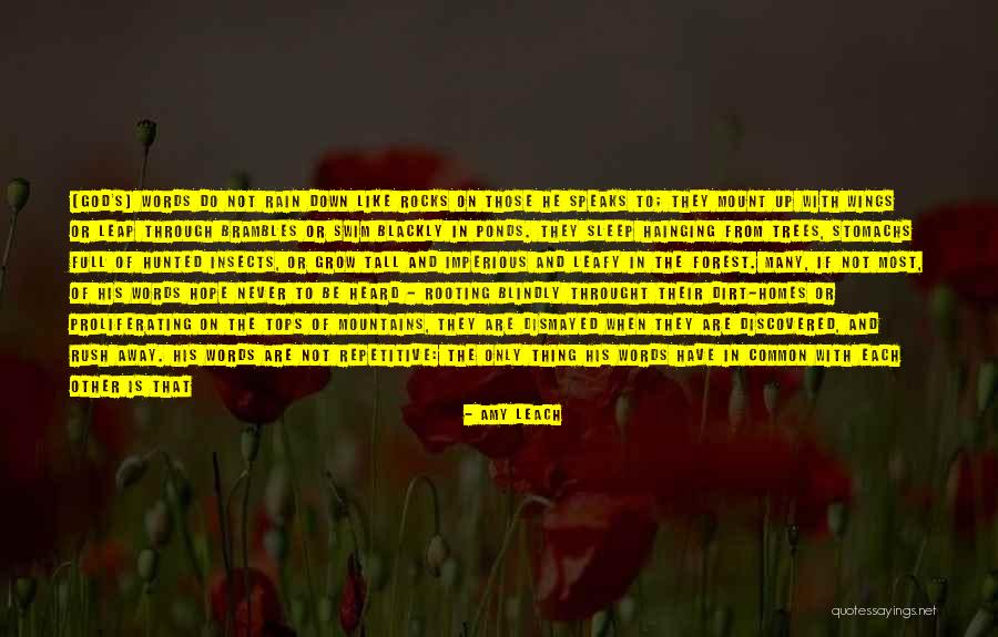 Distrugerea Quotes By Amy Leach Distrugerea Quotes By Amy Leach
