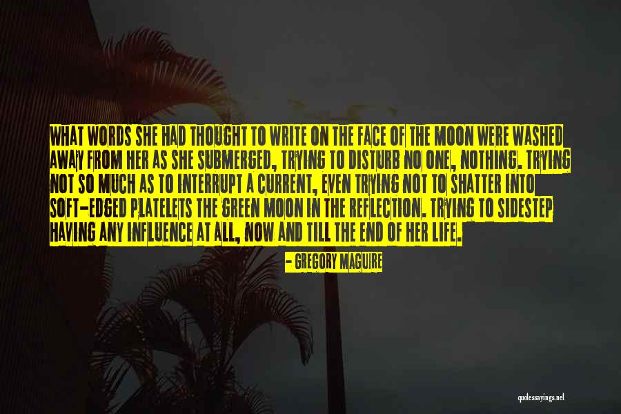 Disturb Life Quotes By Gregory Maguire Disturb Life Quotes By Gregory Maguire