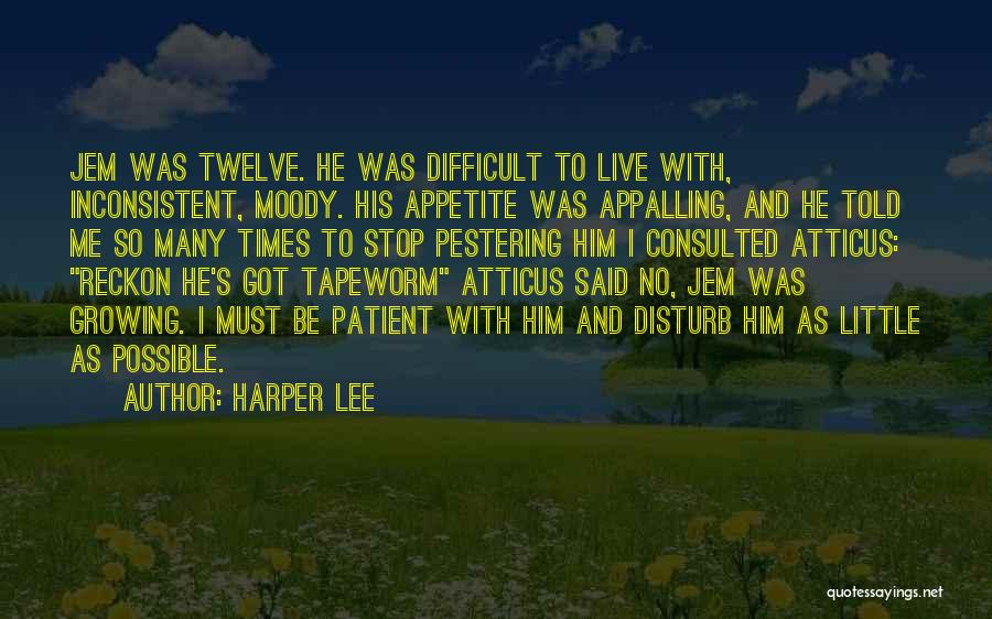 Disturb Me Quotes By Harper Lee