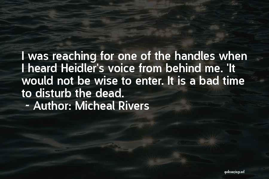 Disturb Me Quotes By Micheal Rivers