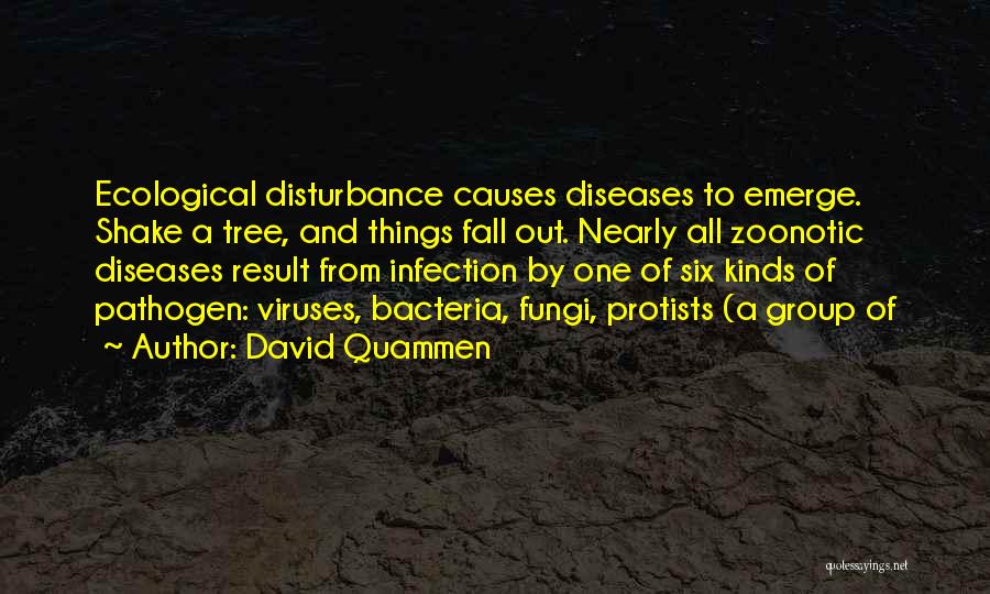 Disturbance Quotes By David Quammen