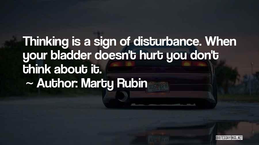 Disturbance Quotes By Marty Rubin