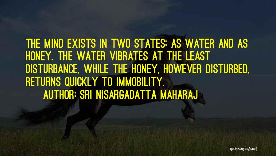 Disturbance Quotes By Sri Nisargadatta Maharaj