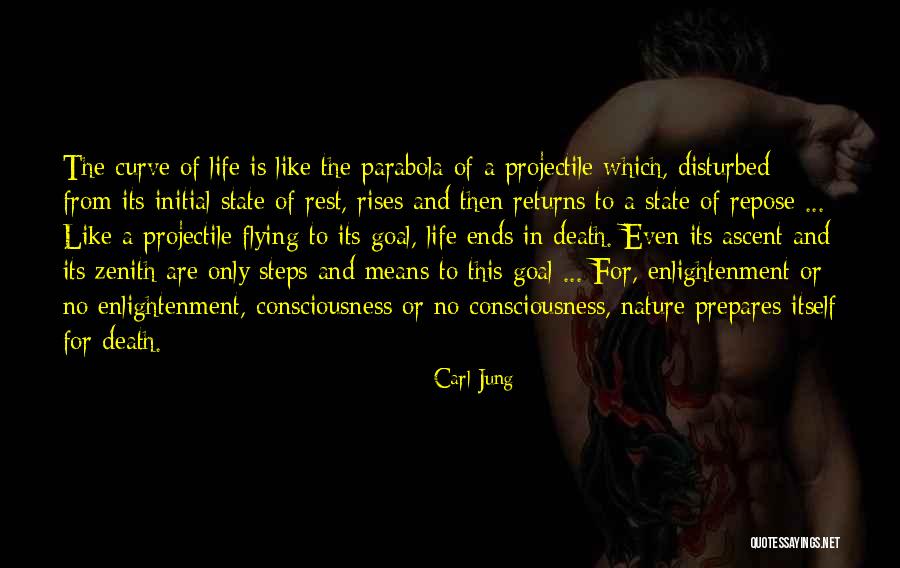 Disturbed Life Quotes By Carl Jung