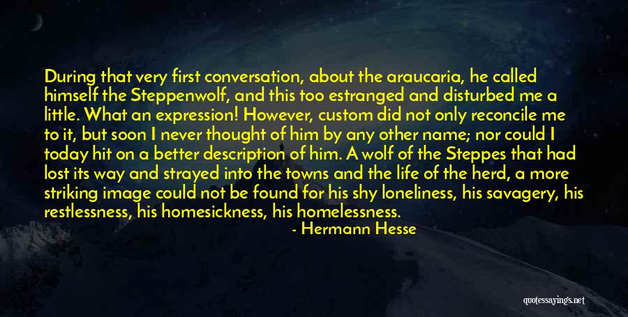 Disturbed Life Quotes By Hermann Hesse