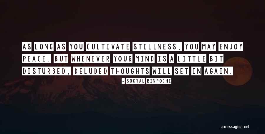 Disturbed Mind Quotes By Sogyal Rinpoche Disturbed Mind Quotes By Sogyal Rinpoche
