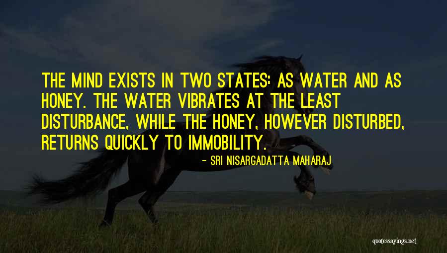 Disturbed Mind Quotes By Sri Nisargadatta Maharaj Disturbed Mind Quotes By Sri Nisargadatta Maharaj