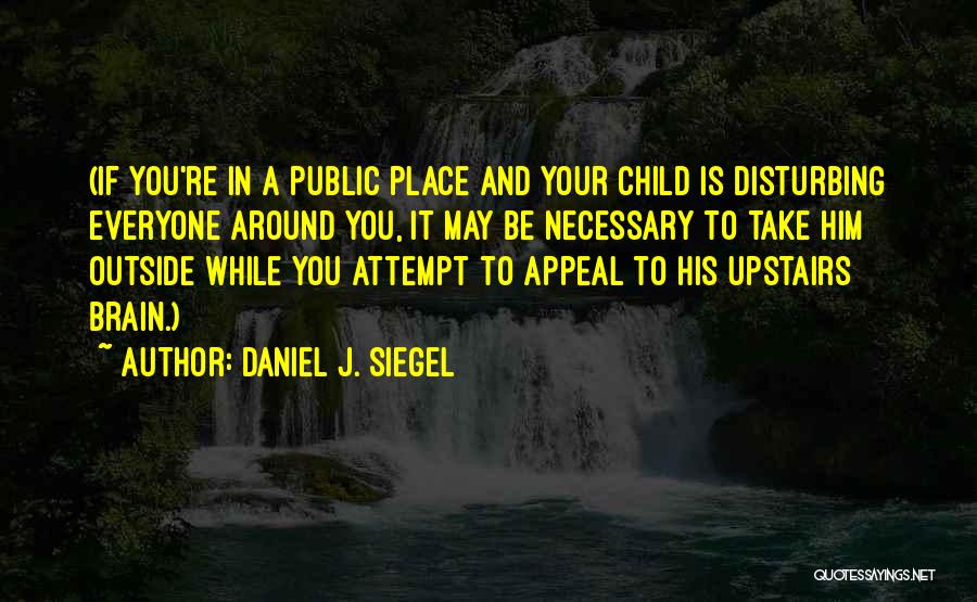 Disturbing Quotes By Daniel J. Siegel