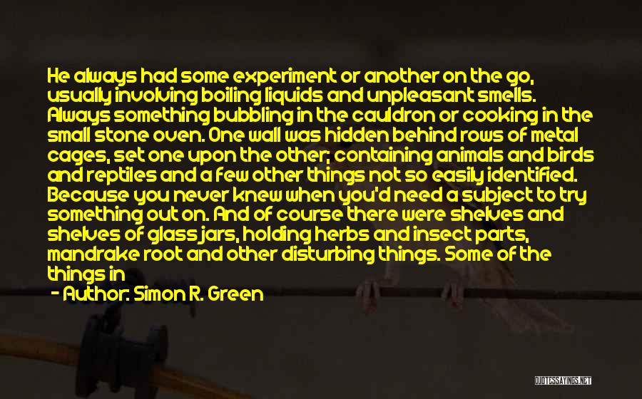 Disturbing Quotes By Simon R. Green