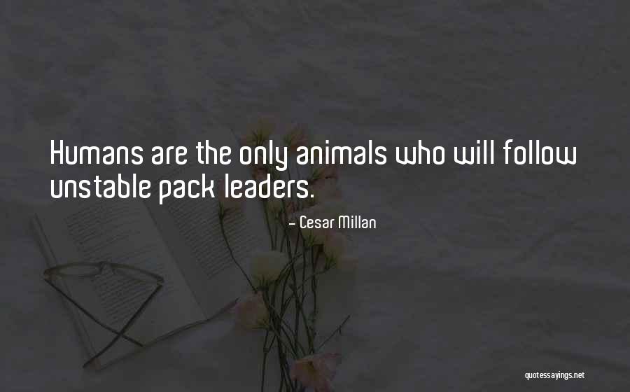 Ditas Sandico Ong Quotes By Cesar Millan Ditas Sandico Ong Quotes By Cesar Millan