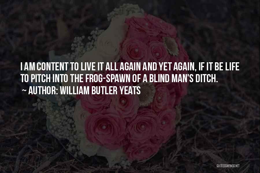 Ditch Quotes By William Butler Yeats