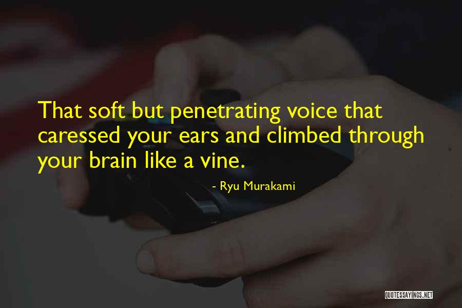 Ditchfield Family Singers Quotes By Ryu Murakami Ditchfield Family Singers Quotes By Ryu Murakami