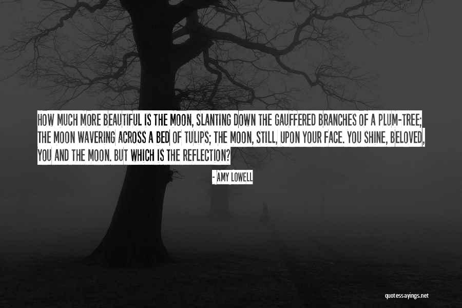 Ditlev Quotes By Amy Lowell Ditlev Quotes By Amy Lowell