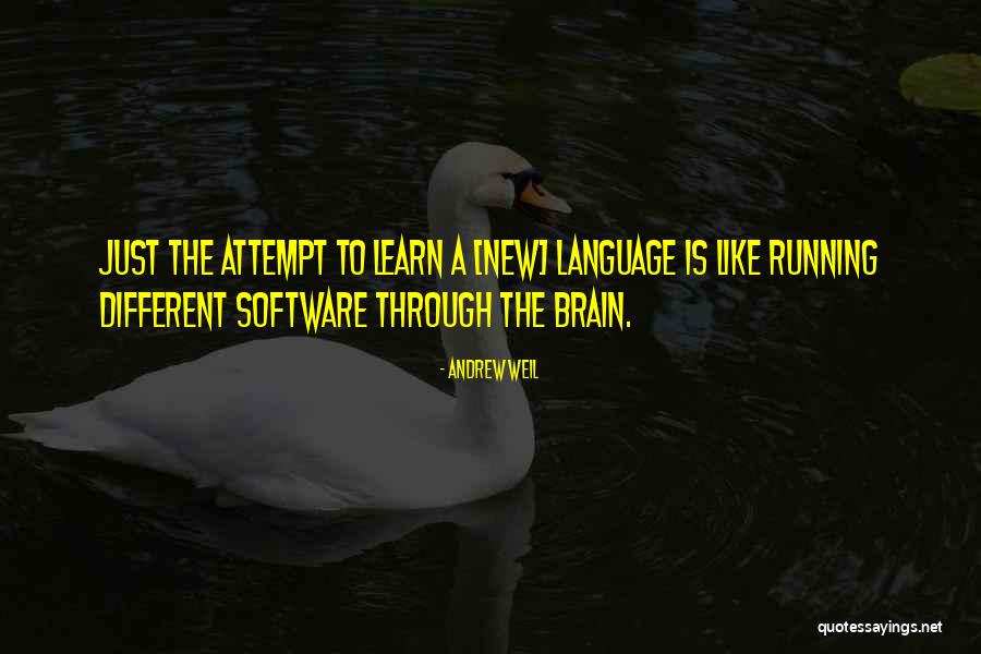 Ditmer Park Quotes By Andrew Weil Ditmer Park Quotes By Andrew Weil