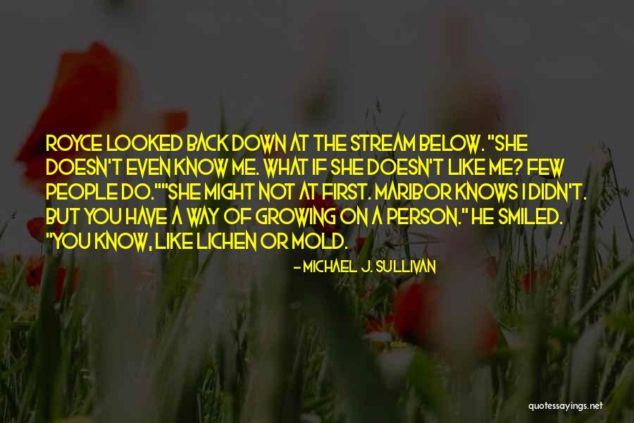 Ditore Horse Quotes By Michael J. Sullivan Ditore Horse Quotes By Michael J. Sullivan