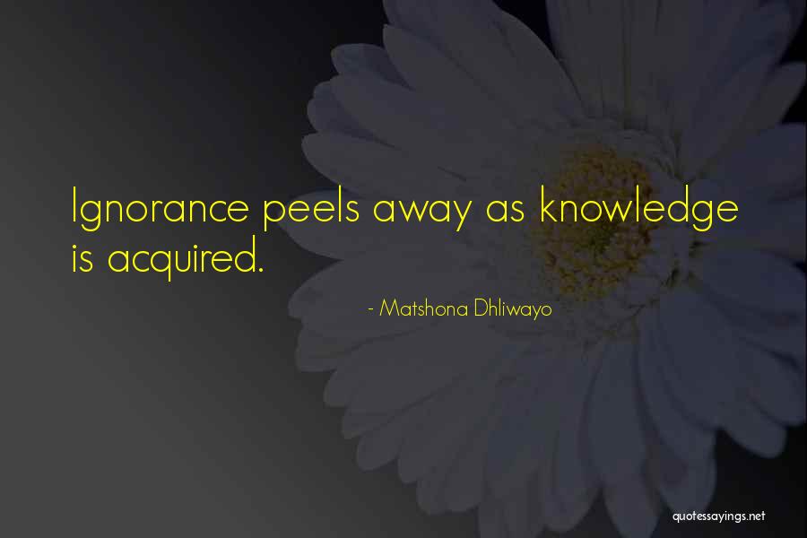 Ditzily Quotes By Matshona Dhliwayo