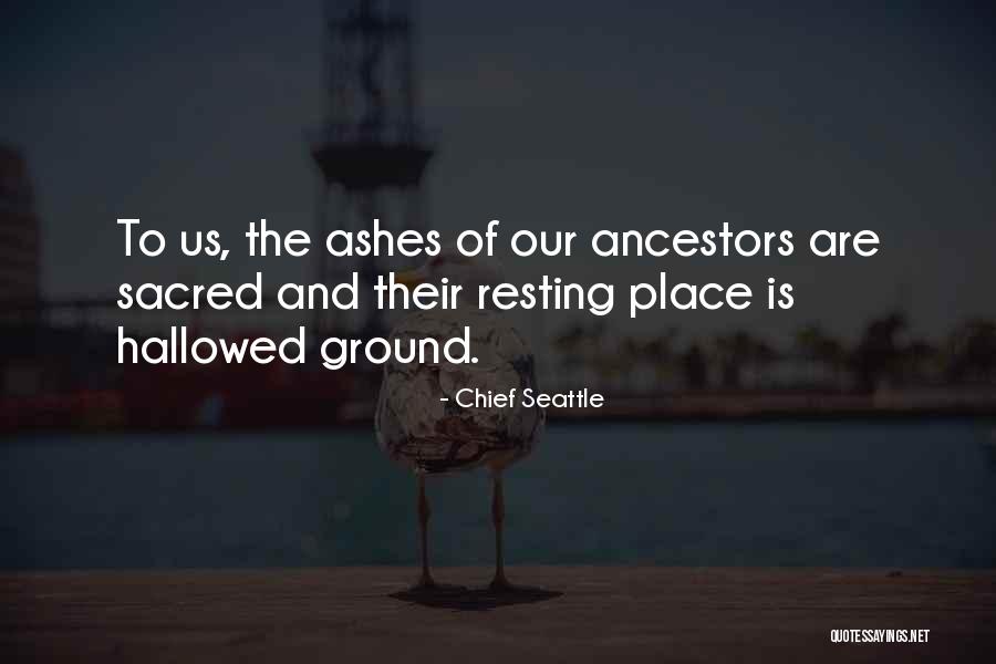 Divakaran Md Quotes By Chief Seattle Divakaran Md Quotes By Chief Seattle