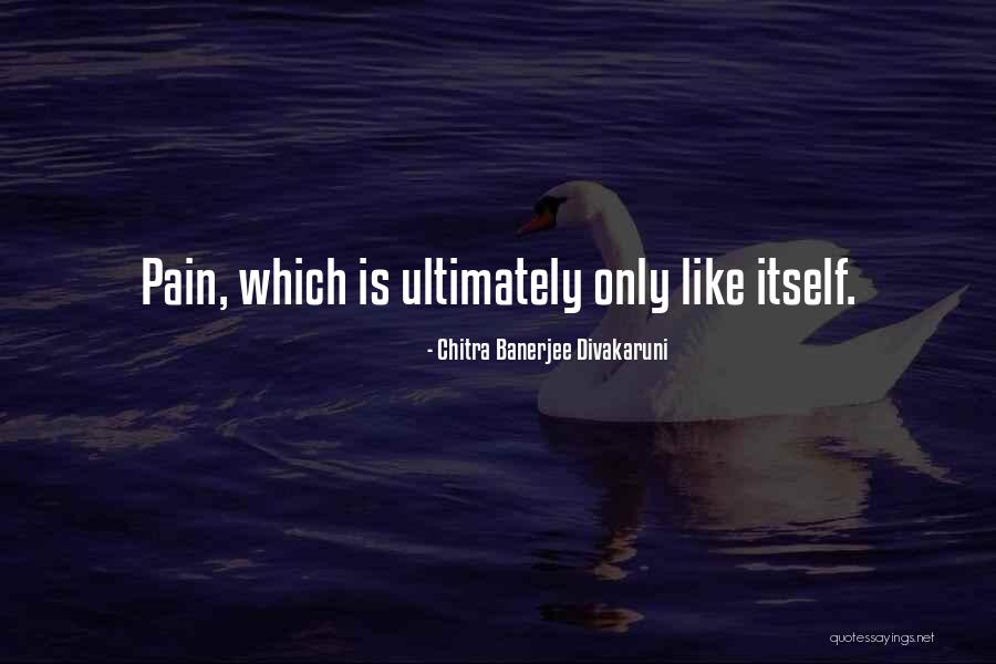 Divakaruni Chitra Quotes By Chitra Banerjee Divakaruni Divakaruni Chitra Quotes By Chitra Banerjee Divakaruni