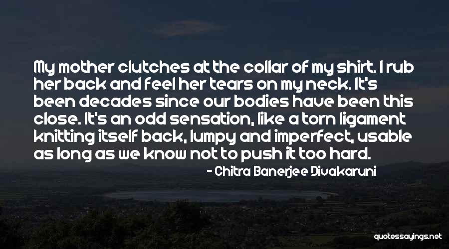 Divakaruni Chitra Quotes By Chitra Banerjee Divakaruni Divakaruni Chitra Quotes By Chitra Banerjee Divakaruni