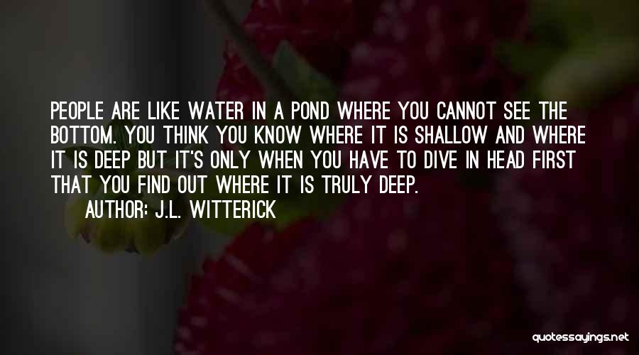 Dive Head First Quotes By J.L. Witterick