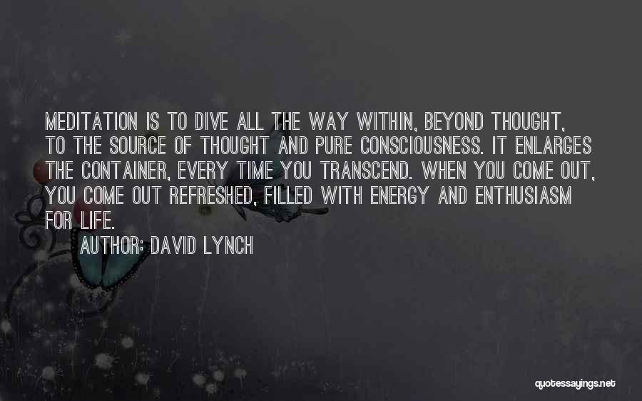 Dive Life Quotes By David Lynch