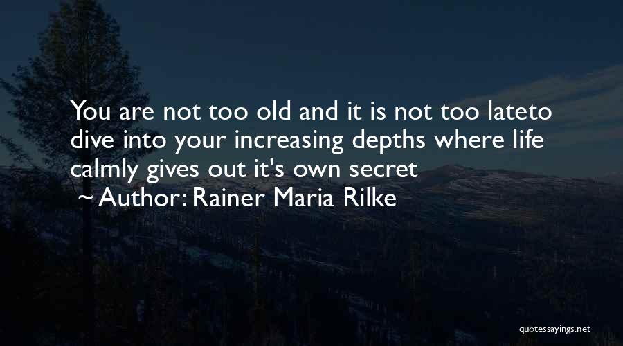 Dive Life Quotes By Rainer Maria Rilke