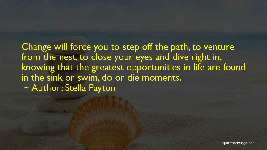 Dive Life Quotes By Stella Payton