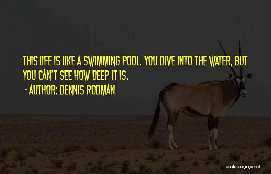 Dive Too Deep Quotes By Dennis Rodman