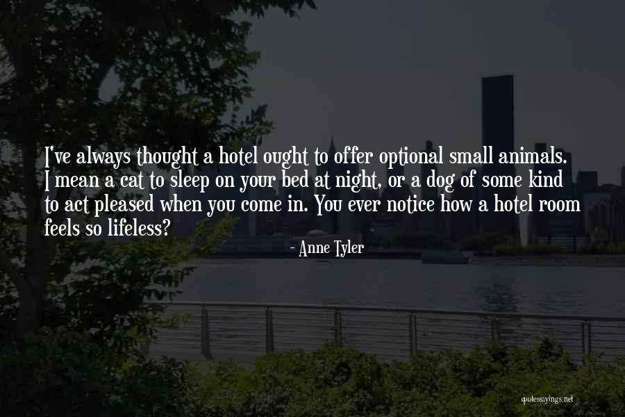 Divergencia Significado Quotes By Anne Tyler Divergencia Significado Quotes By Anne Tyler