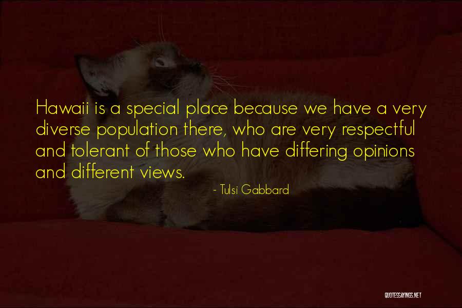 Diverse Opinions Quotes By Tulsi Gabbard